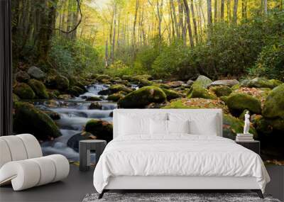 Small white water stream in the Smoky Mountains fall. Wall mural