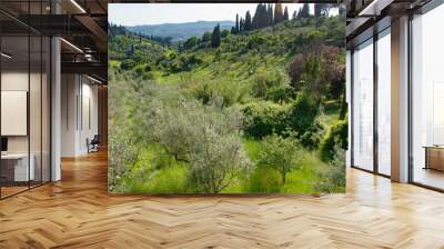 Tuscan landscapes in springtime outside Florence Wall mural