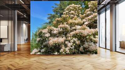 tree and flowers Wall mural