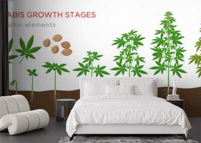 Cannabis sativa growth stages from seeds to mature plant with hemp leaves, flowers and roots - infographic elements isolated on white background. Wall mural