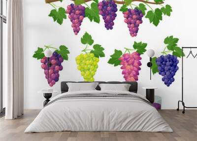 Grape varieties and grape juice in glasses. Bunches of grapes and grape products, vector illustration isolated on white background. Wall mural