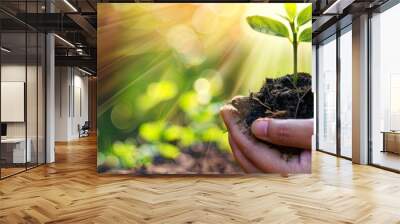 Hands Nurturing Young Tree in Bright Sunlight Wall mural