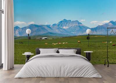 Mountain Pasture Wall mural