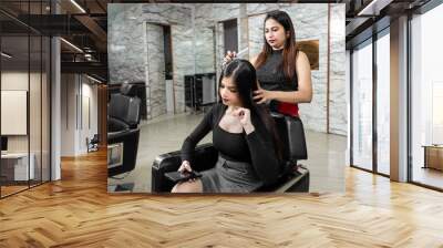 Portrait of a female hairdresser standing and making hairstyle of a cute lovely young woman in beauty salon, beauty parlour concept. Wall mural