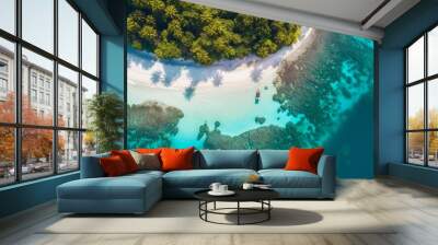 Aeriel view of tropical beach Wall mural