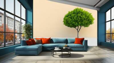 A vibrant green tree standing alone on a sandy surface, showcasing nature's beauty and tranquility in a minimalist setting. Wall mural