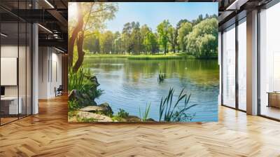 Beautiful colorful summer spring natural landscape with a lake in Park surrounded by green foliage of trees in sunlight and stone path in foreground Wall mural