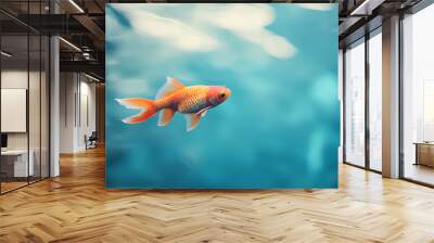 Single Goldfish Swimming in Blue Water, Underwater Photography, Abstract Minimalist Design Wall mural