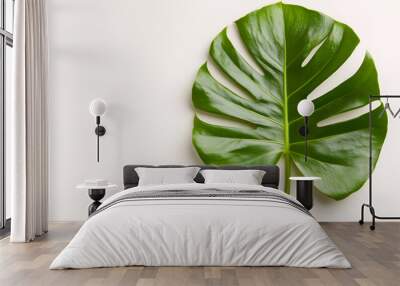 Vibrant green monstera leaf showcasing its unique split shape and glossy texture, ideal for nature and botanical themes. Wall mural