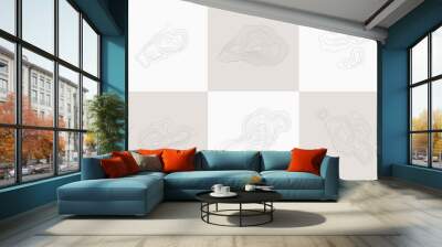 Set of topographic design elements, circular geographic grid map Wall mural