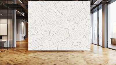 Topographic map patterns, topography line map. Vintage outdoors style Wall mural