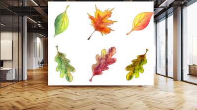 Hand drawn watercolor autumn mini set of leaves on white background. Wall mural