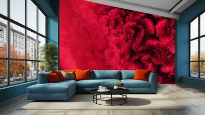 colorful red fabric and cockscomb flower velvet texture nature banner background Wall mural