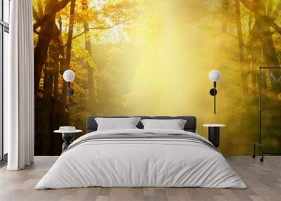 mist or fog in autumn yellow orange tree in the park nature background Wall mural