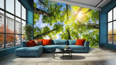 Looking up Green forest. Trees with green Leaves, blue sky and sun light. Bottom view Wall mural