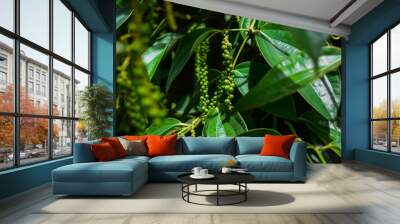 plantation of red and black pepper, Phu Quoc Wall mural