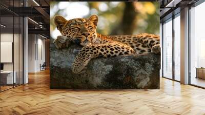 A leopard resting on a tree branch, showcasing its beautiful fur and serene expression. Wall mural