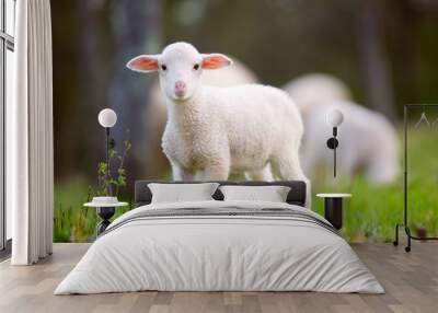 Lamb grazing on green grass meadow Wall mural