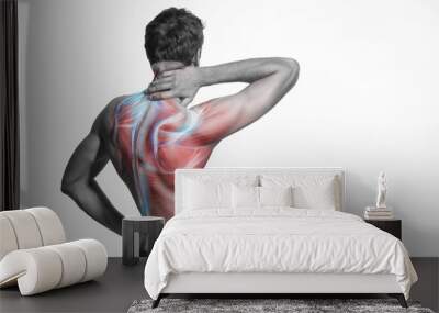 Man's back muscle and body structure. Human body view from behind isolated on white background. Wall mural