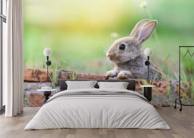 Cute rabbit sitting on brick wall and green field spring meadow / Easter bunny hunt for easter egg Wall mural