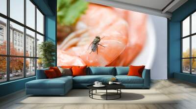 house flies on shrimp the dirty food contamination hygiene concept - fly on food Wall mural