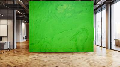 Natural green patterns / Abstract green water on background Wall mural