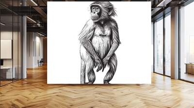 Little capuchin monkey hand drawn sketch Vector illustration Wall mural