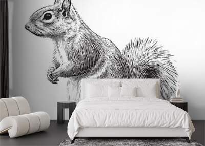 Squirrel sitting sketch hand drawn engraved style Vector illustration. Wall mural