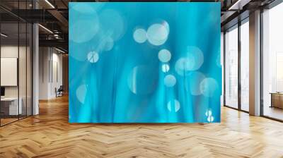 Sunny abstract blue nature background, selective focus Wall mural