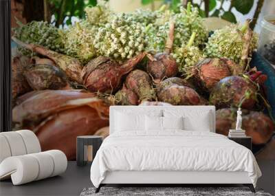 onions, Fresh vegatables from garden Wall mural