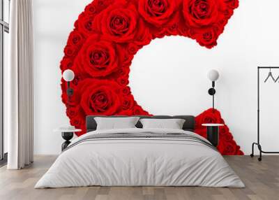 rose alphabet set - alphabet capital letter c made from red rose Wall mural