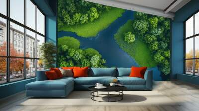 aerial view of a lush river delta, showcasing winding waterways and vibrant green vegetation, encapsulating the beauty of nature and ecological diversity Wall mural