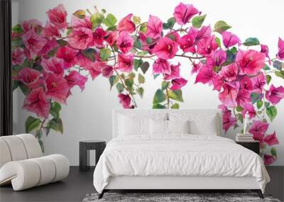 Bougainvillea creeper illustration - Vibrant pink flowers hanging gracefully, isolated on white background, watercolor painting Wall mural