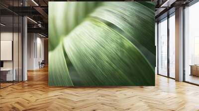 detailed close-up of palm leaf texture, showcasing its intricate veins and vibrant green color, encapsulating the beauty of nature in a minimalistic and artistic presentation Wall mural