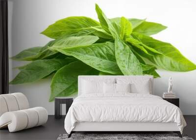 lush green thai lemon basil leaves isolated on white background highquality photo Wall mural