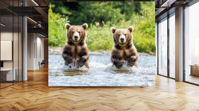 two playful brown bears splashing joyfully in a refreshing river, capturing the essence of wild nature and the carefree spirit of wildlife, surrounded by lush greenery and a vibrant natural habitat Wall mural