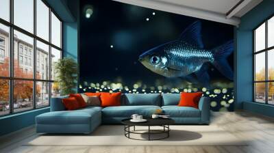 Glowing skirt tetra fish against dark background with a dotted light pattern on the ground image Wall mural