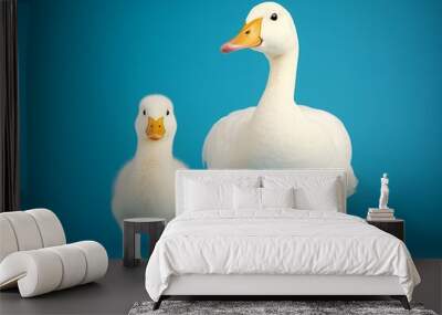 Mother duck one baby against teal background white adult picture Wall mural