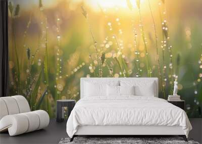 A close-up of dew-covered grass in a sunlit meadow. Wall mural