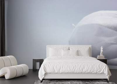 medical mask on white background Wall mural