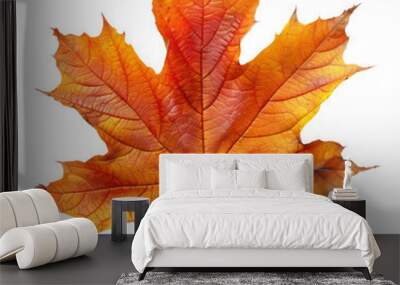 Maple leaf isolated on transparent background Wall mural