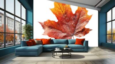 Maple leaf isolated on transparent background Wall mural