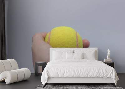 tennis ball in hand on white background Wall mural