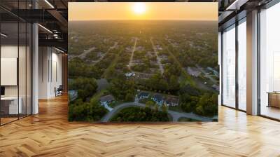 Aerial landscape view of suburban private houses between green palm trees in Florida quiet rural area at sunset Wall mural