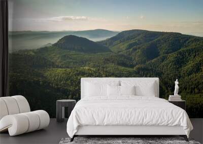 Aerial view of green mountain hills covered with evergreen spruce forest in summer. Wall mural