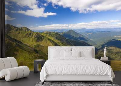 Panorama of Carpathian mountains in summer sunny day Wall mural