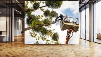 Two male service workers cutting down big tree branches with chainsaw from high chair lift platform. Wall mural