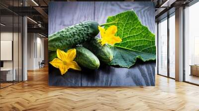 autumn leaves on the water, watercolor background with flowers, cucumber on a white background, cucumber with flower, Fresh green cucumber with leaf and flower natural vegetables organic food isolated Wall mural