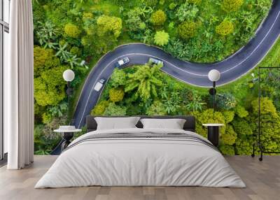 Aerial view on road in the forest. Highway throu the forest. View from a drone. Natural landscape in summer time from air. Travel - image Wall mural