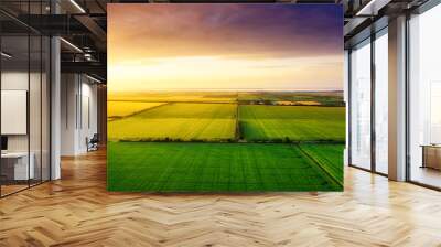 Aerial view on the field during sunset. Landscape from drone. Agricultural landscape from air. Agriculture - image Wall mural